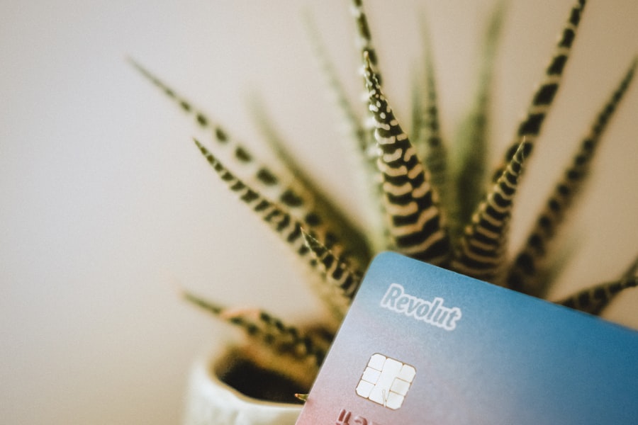 Photo indusind bank credit card